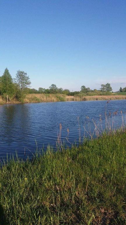 Gospodarstwo Agroturystyczne Zakatek Dabie  Экстерьер фото